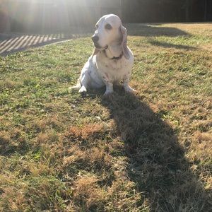 Meet your Posher, Jordan